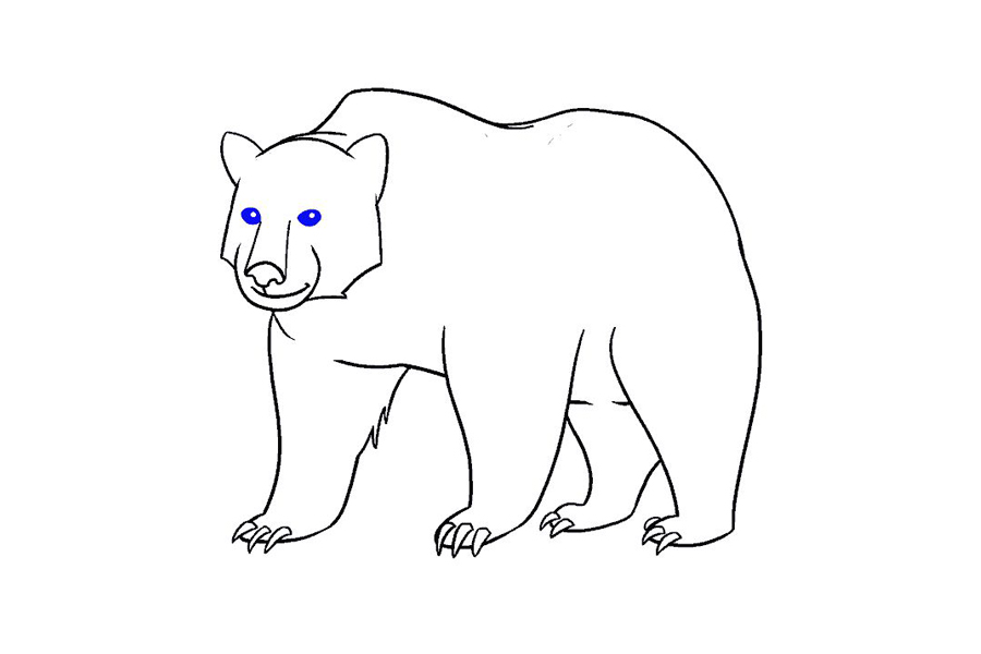 如何画棕熊-图18