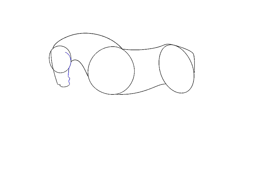 如何画一匹简单的马-图7