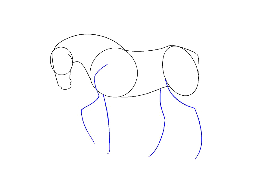 如何画一匹简单的马-图8