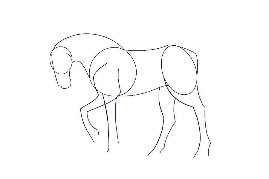 如何画一匹简单的马-图9
