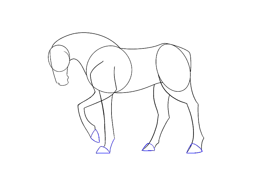如何画一匹简单的马-图10