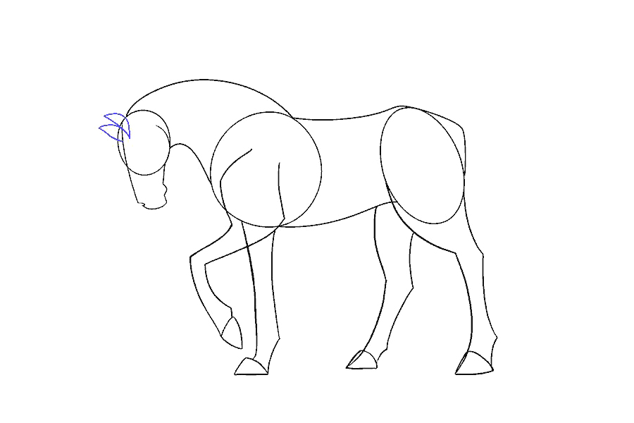 如何画一匹简单的马-图11