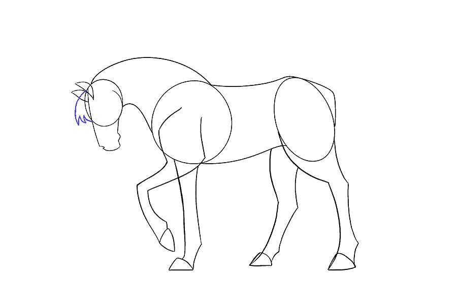 如何画一匹简单的马-图12