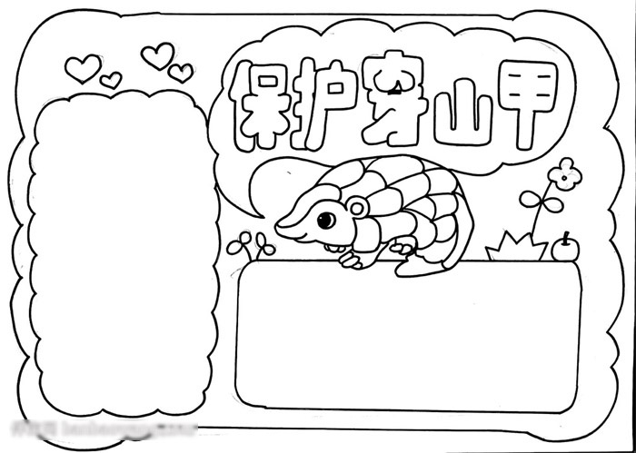 保护穿山甲手抄报-图2