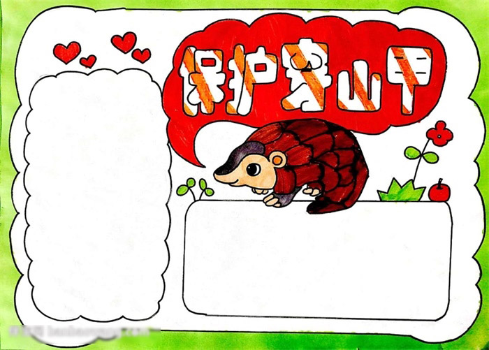 保护穿山甲手抄报-图3