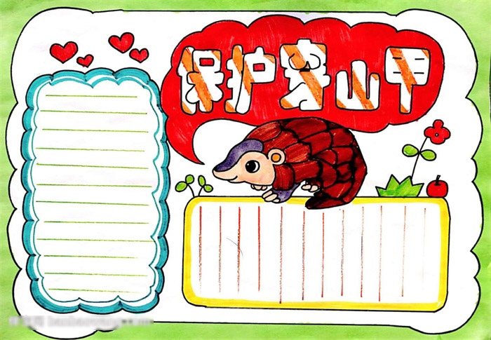 保护穿山甲手抄报