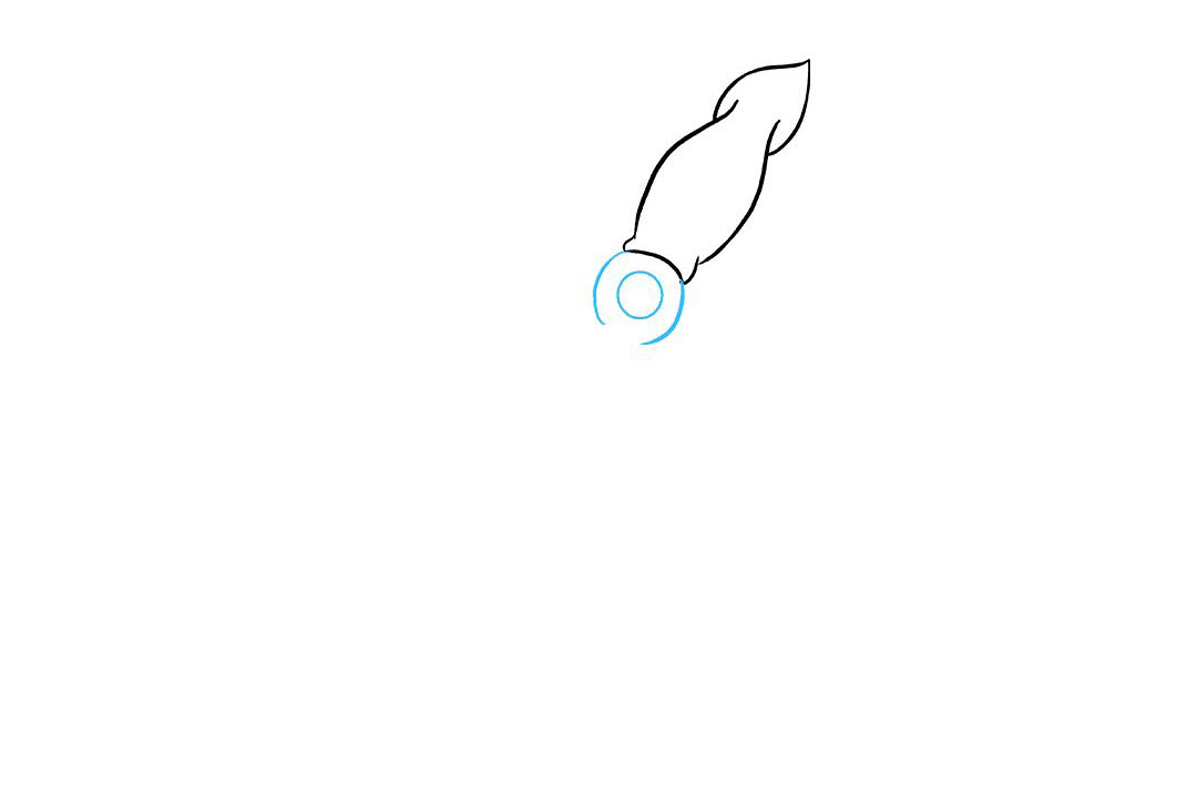 鱿鱼怎么画-图3