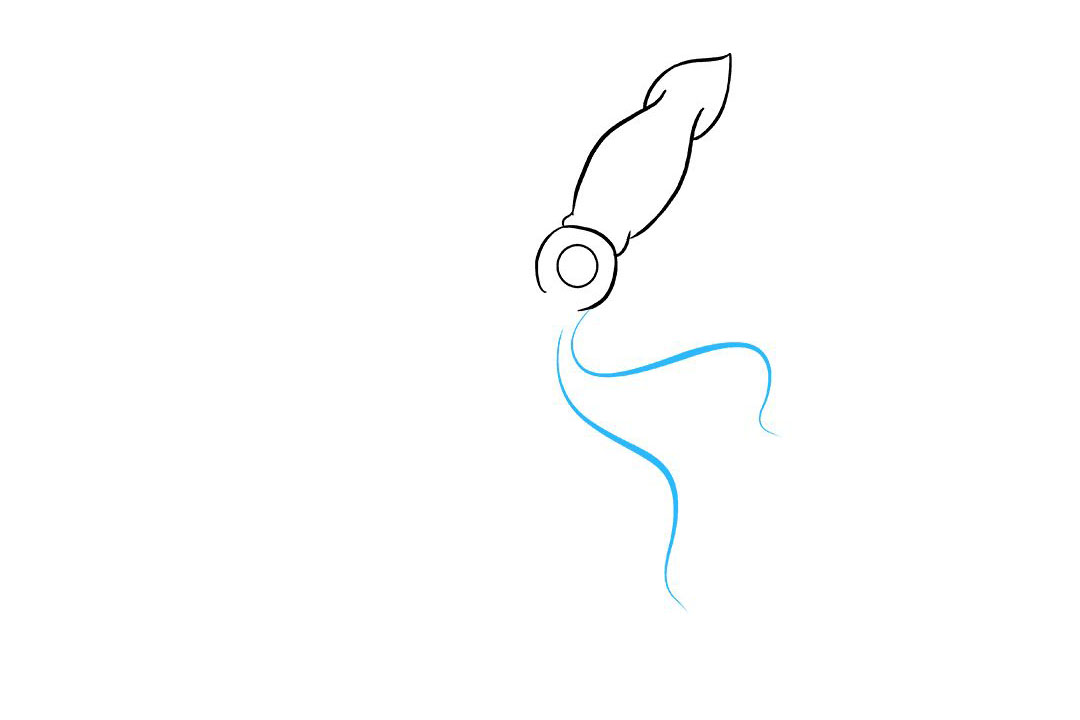 鱿鱼怎么画-图4