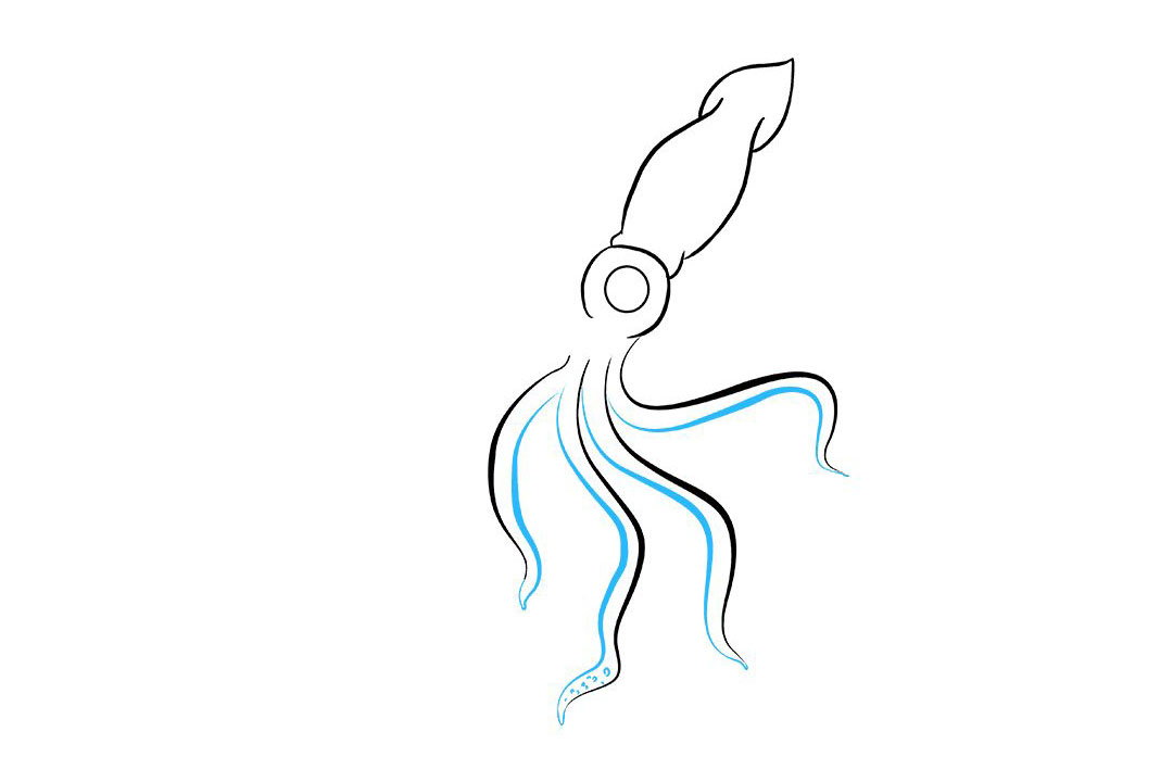 鱿鱼怎么画-图6