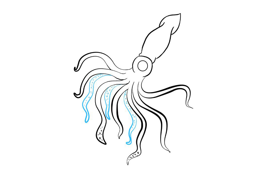 鱿鱼怎么画-图8
