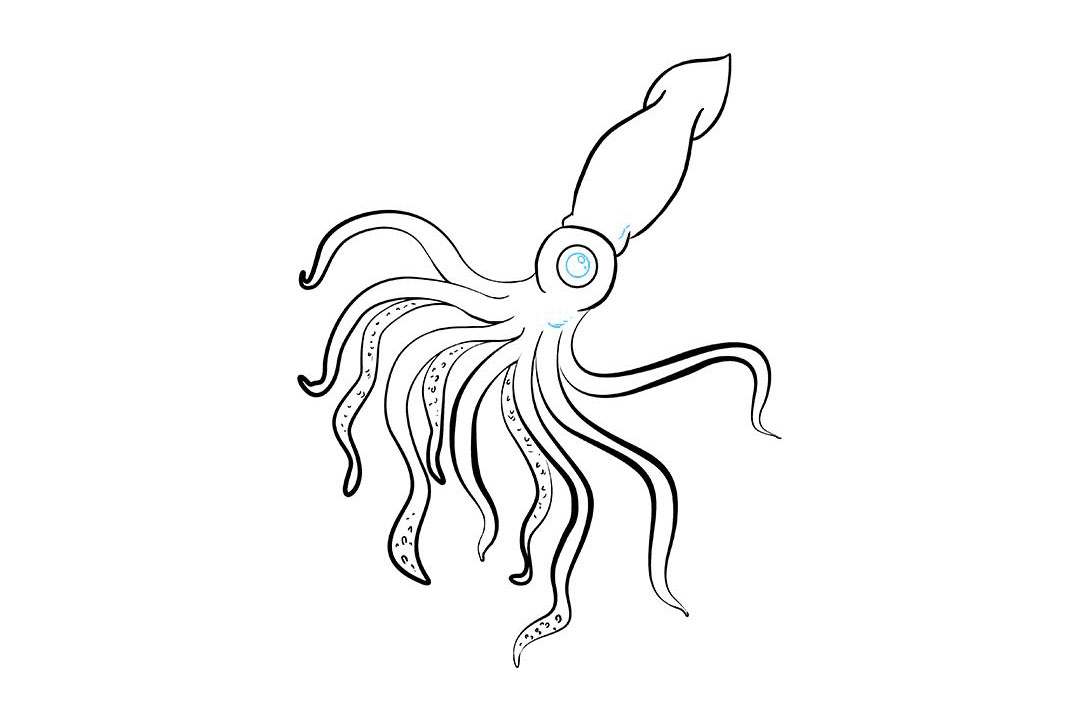 鱿鱼怎么画-图9