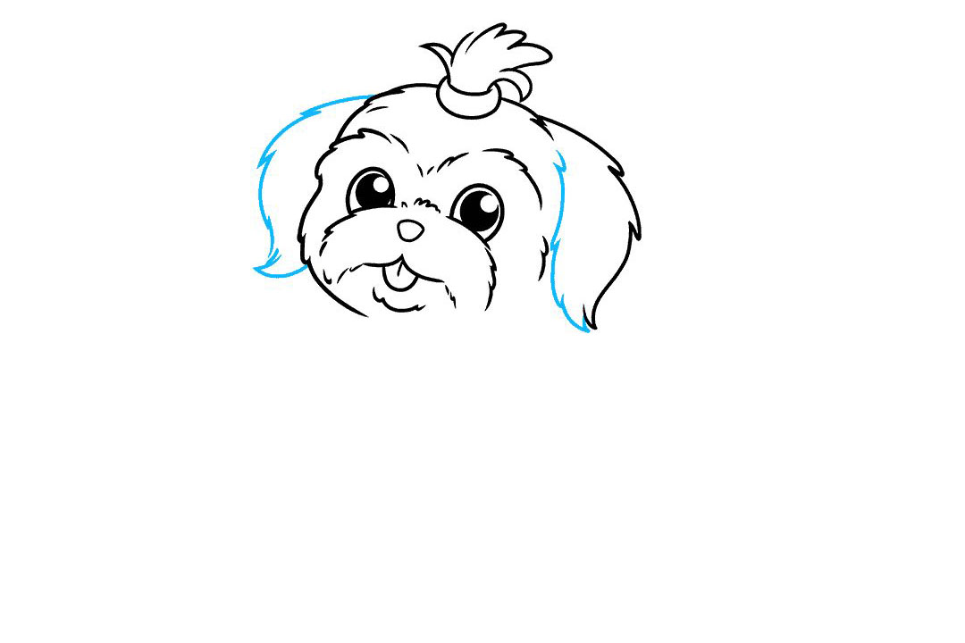 狮子狗怎么画-图5