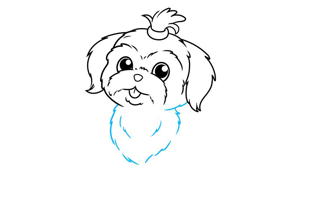 狮子狗怎么画-图6