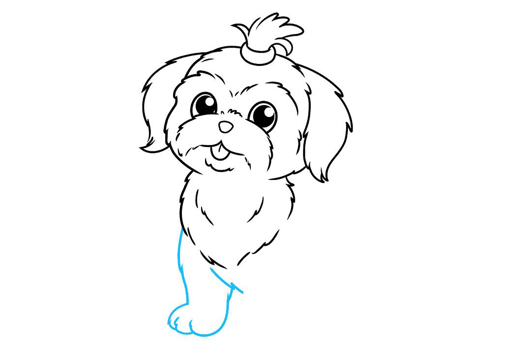 狮子狗怎么画-图7