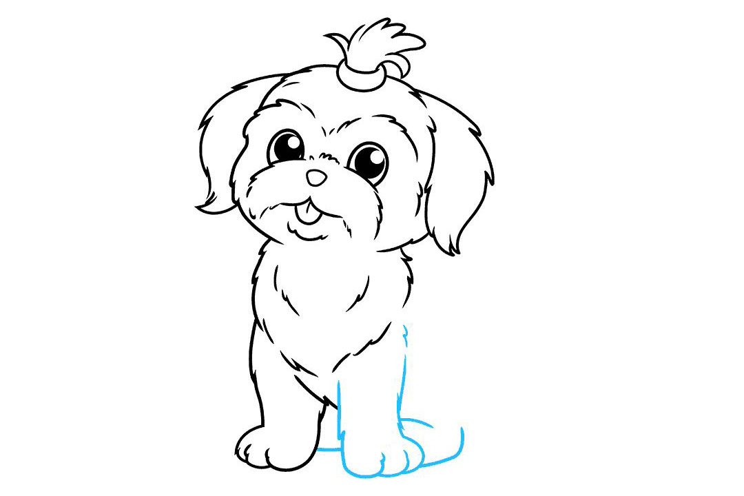 狮子狗怎么画-图8