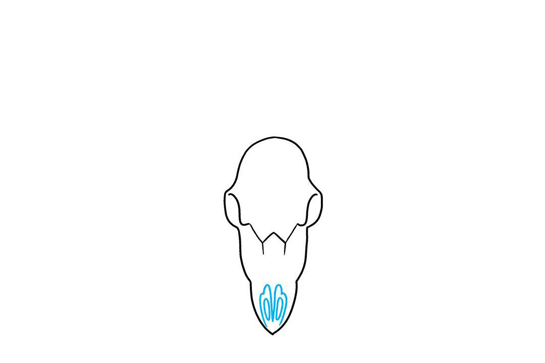 鹿的头骨怎么画-图3