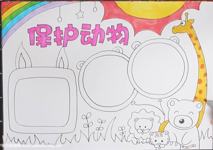 关于保护动物的手抄报怎么画-图4