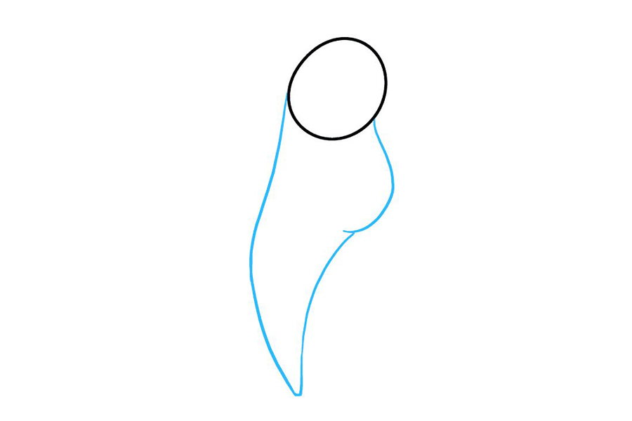 漂亮可爱的鹦鹉怎么画-图2