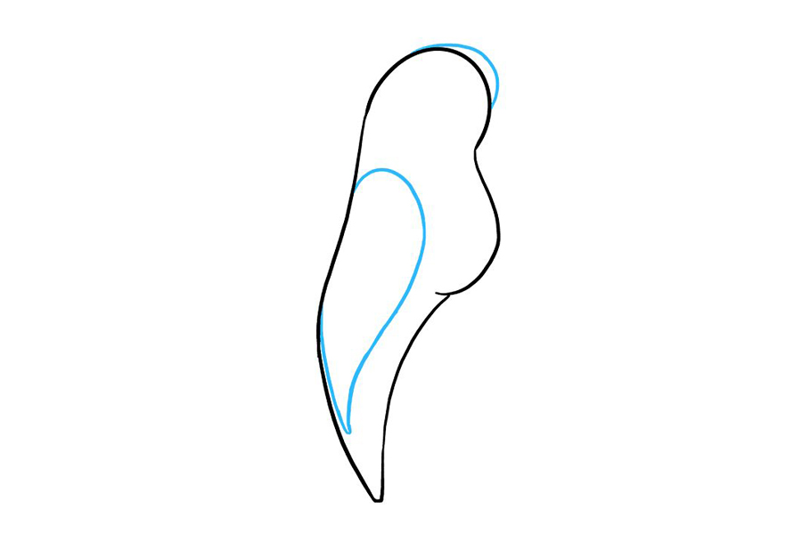 漂亮可爱的鹦鹉怎么画-图4