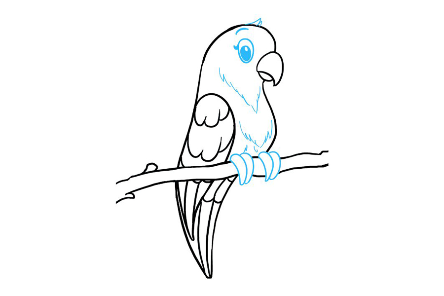 漂亮可爱的鹦鹉怎么画-图9