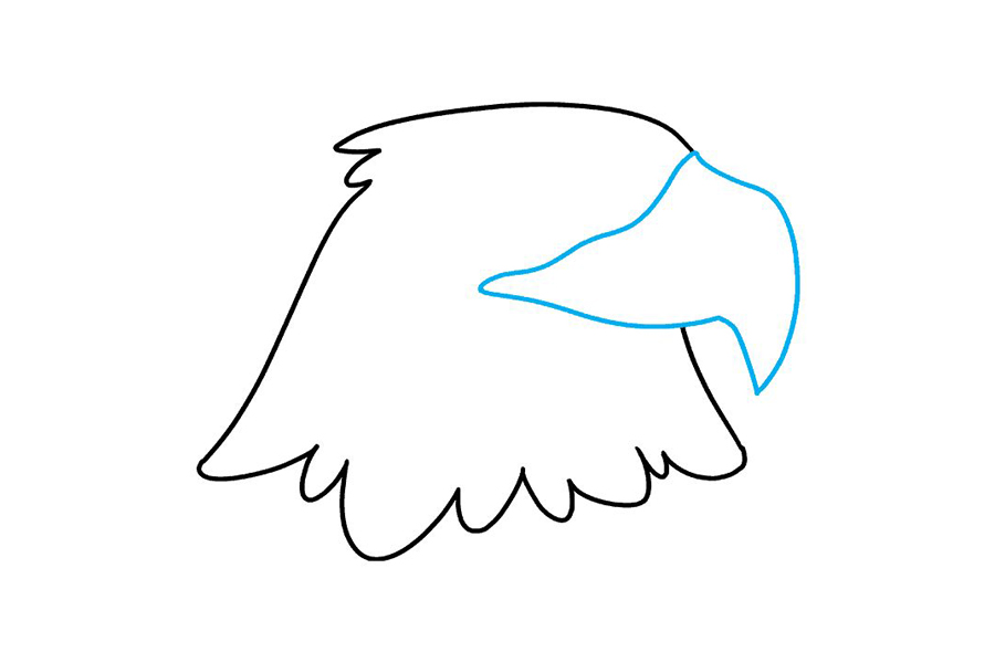 如何画鹰头-图3