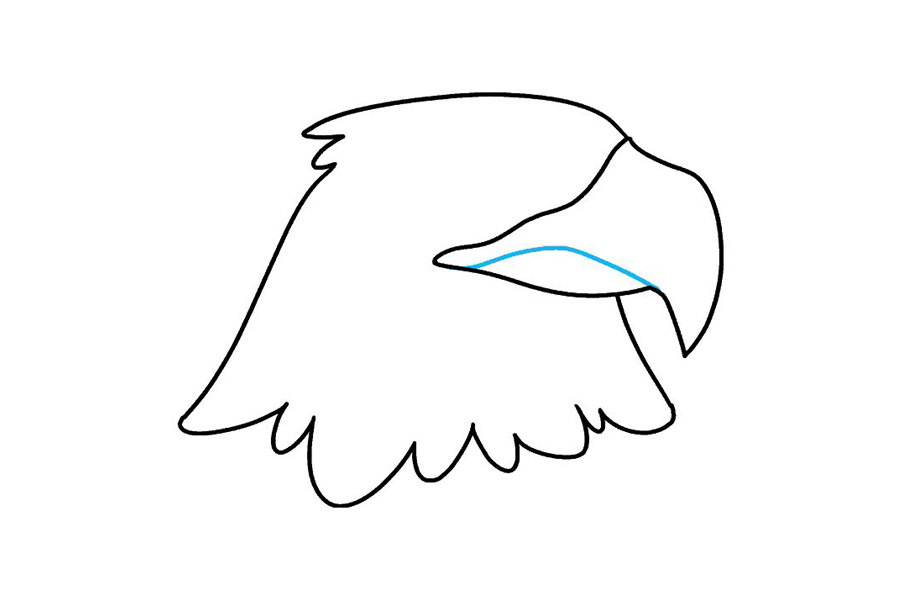 如何画鹰头-图4