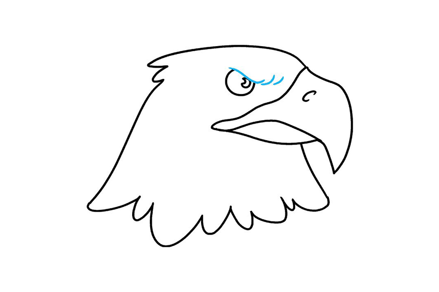 如何画鹰头-图8