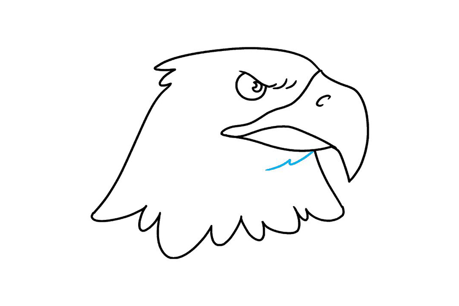 如何画鹰头-图9