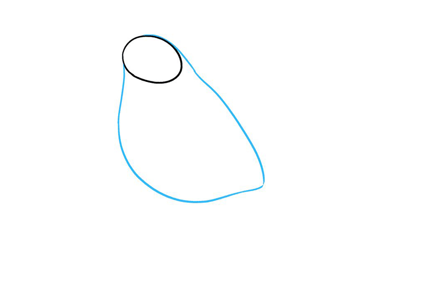 如何画知更鸟-图2