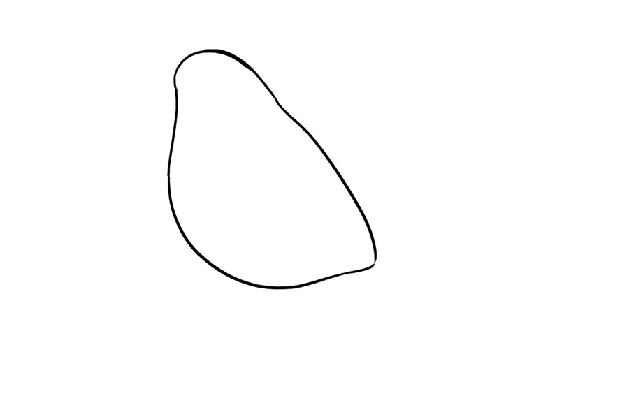 如何画知更鸟-图3