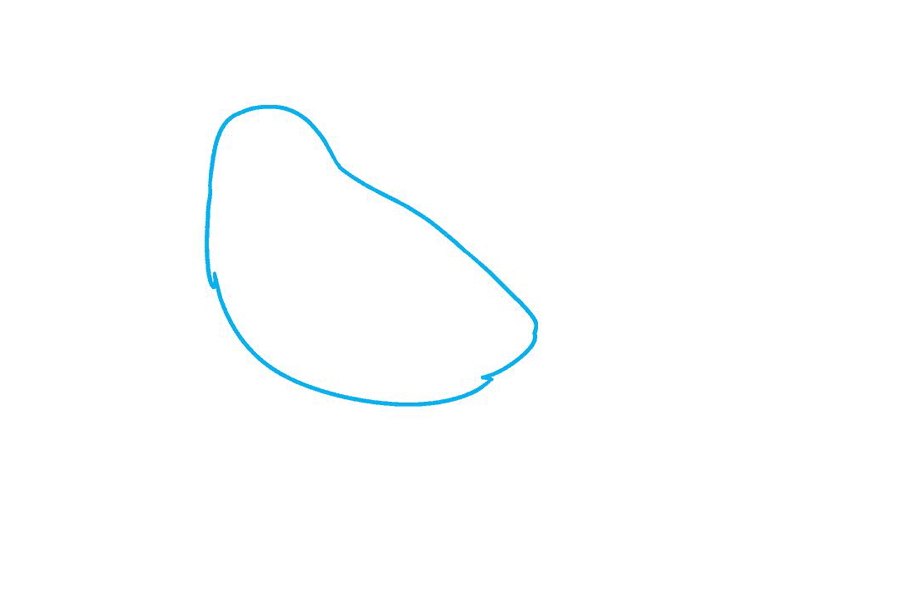 怎么画麻雀-图1