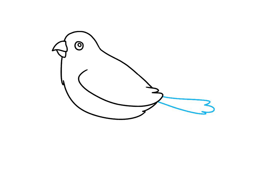 怎么画麻雀-图5