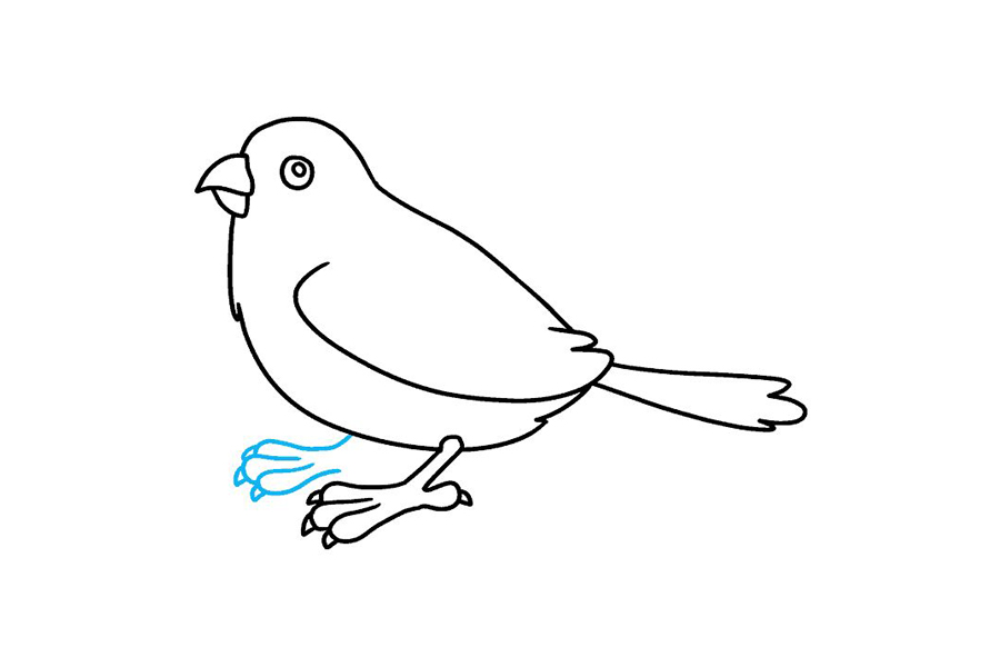 怎么画麻雀-图8