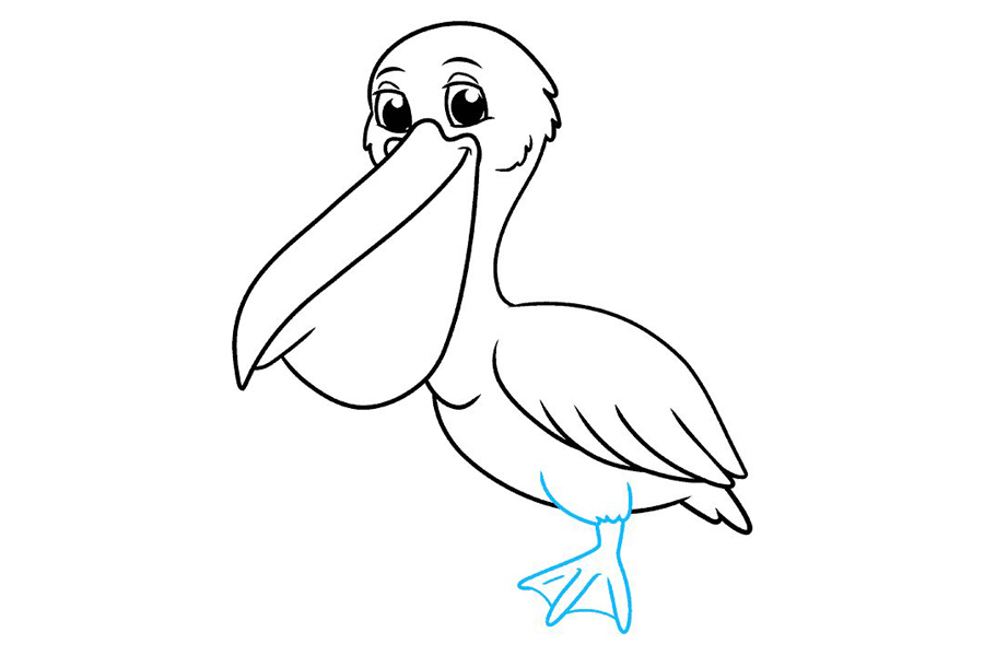 怎样画鹈鹕-图7