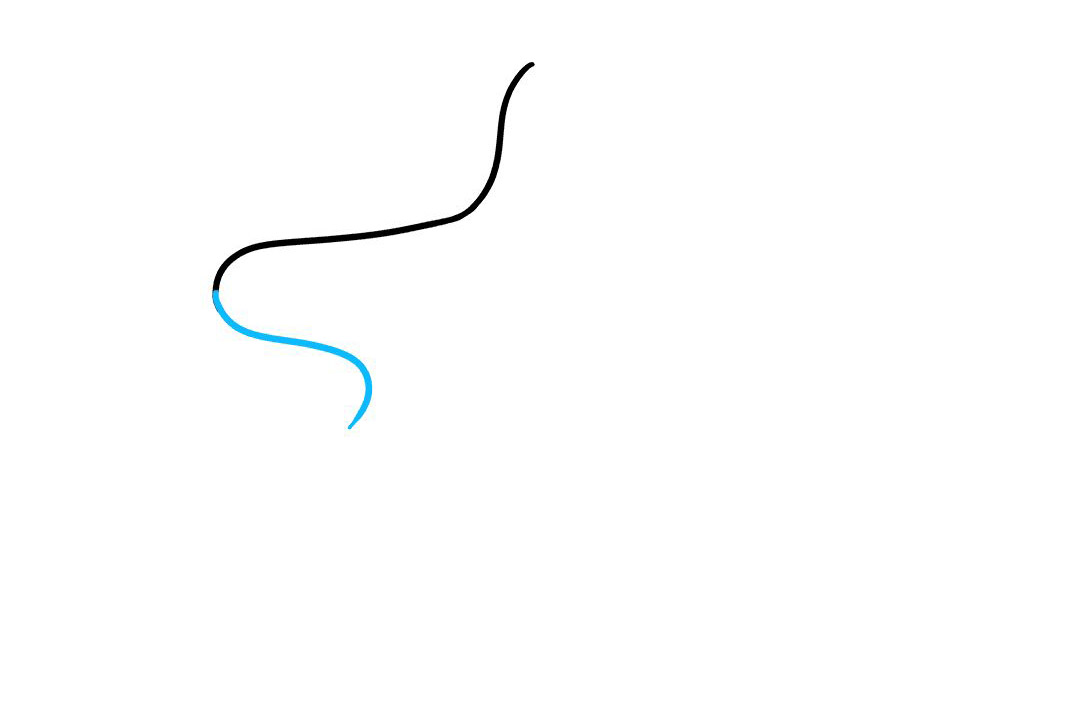 卡通海星怎么画-图2