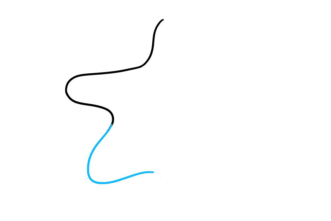 卡通海星怎么画-图3