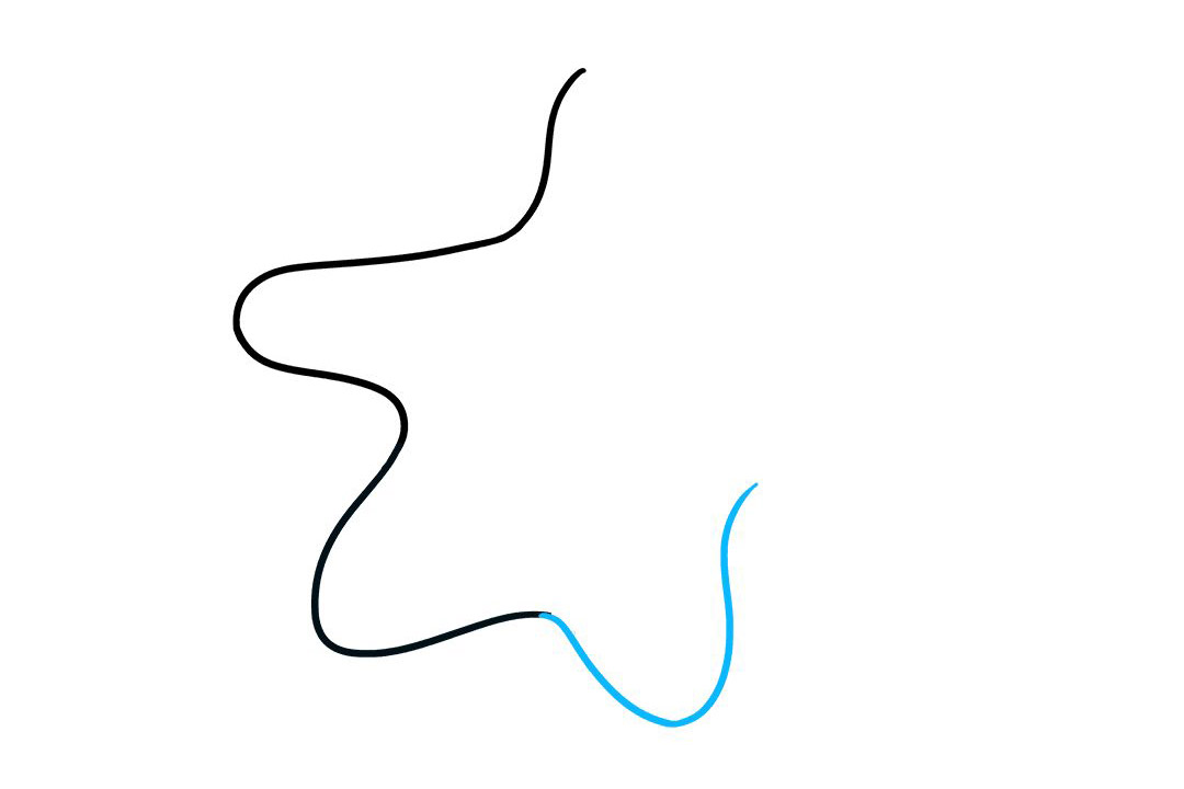 卡通海星怎么画-图4