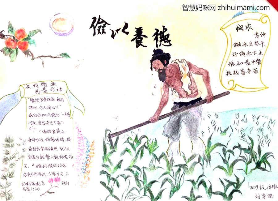 怎么画节约粮食的手抄报-图3