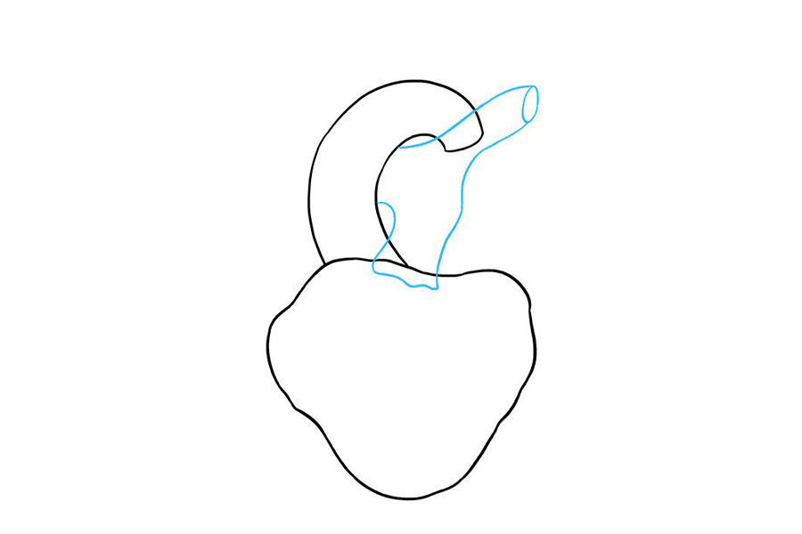如何画人的心脏-图3