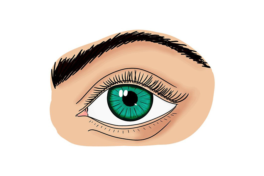 逼真版人物眼睛怎么画