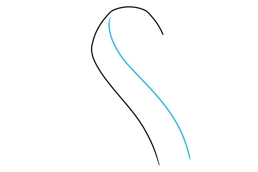 丝带怎么画-图3