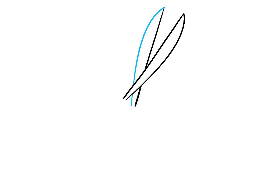 剪刀怎么画-图4