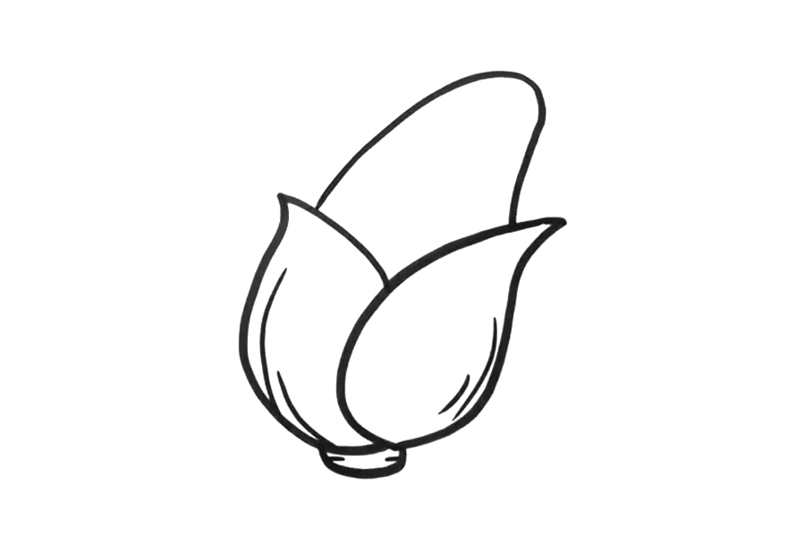 简单的玉米怎么画-图3