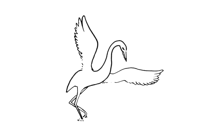 白鹭怎么画-图2