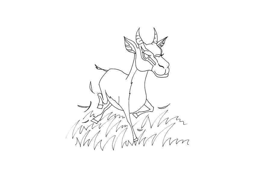 奔跑的羚羊怎么画-图4