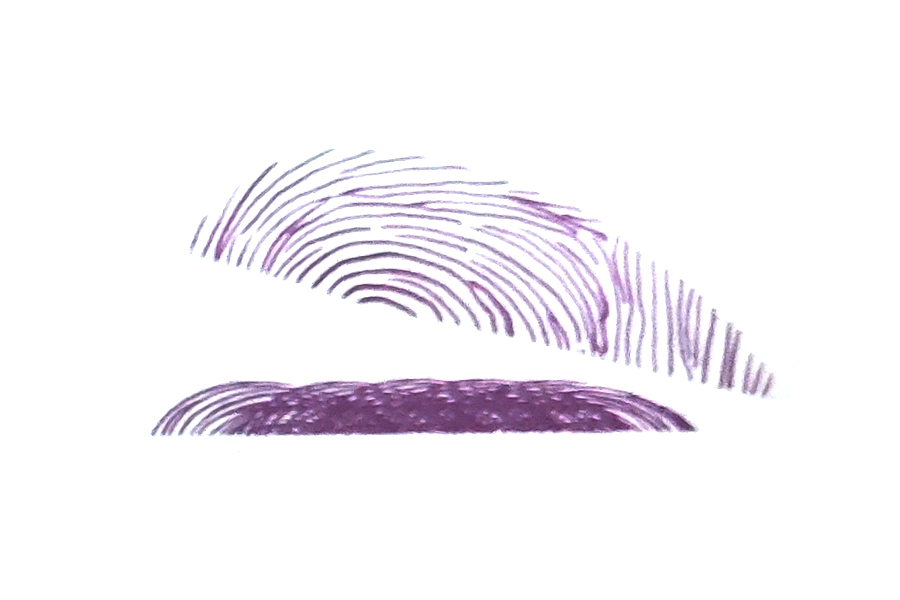 步骤2：用重叠的几个指印作订书机的底座。