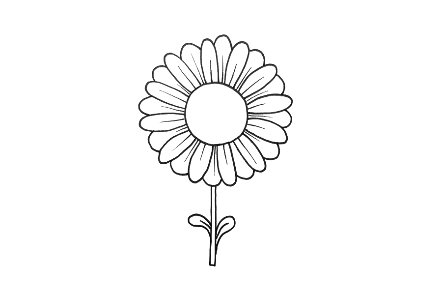 雏菊怎么画-图5