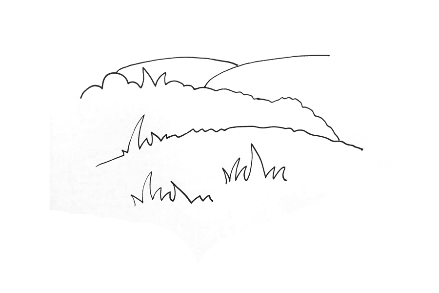 超简单草原怎么画-图3