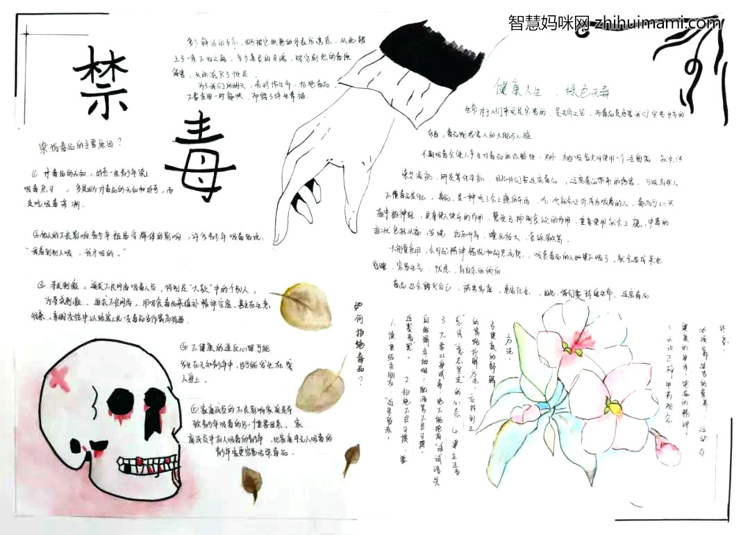 五年级世界禁毒日手抄报绘画-图5