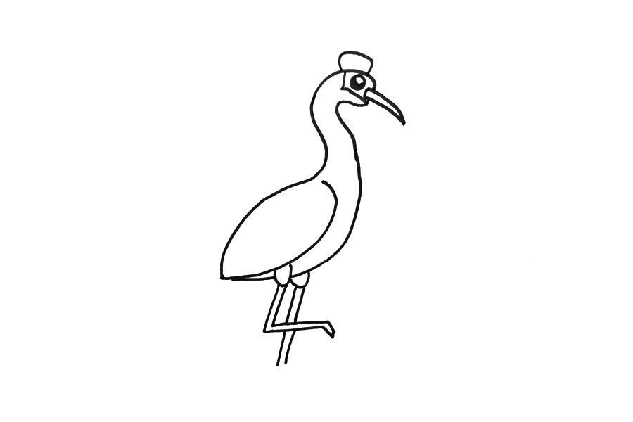 丹顶鹤怎么画-图2